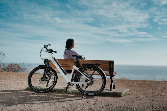 Wat maakt een premium e-bike uniek?